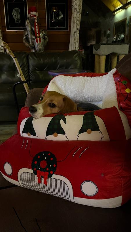 sachin and babi light blue dress Cozy Dog Bed – Pawslovestore main image 1