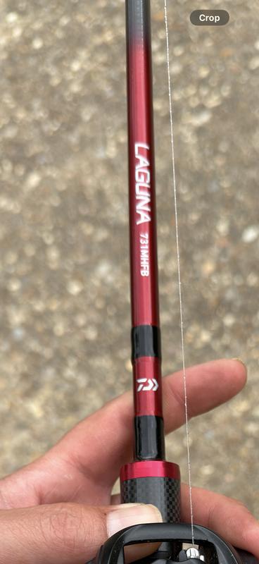 Daiwa Laguna 7 ft 3 in MH Freshwater Casting Rod | Academy