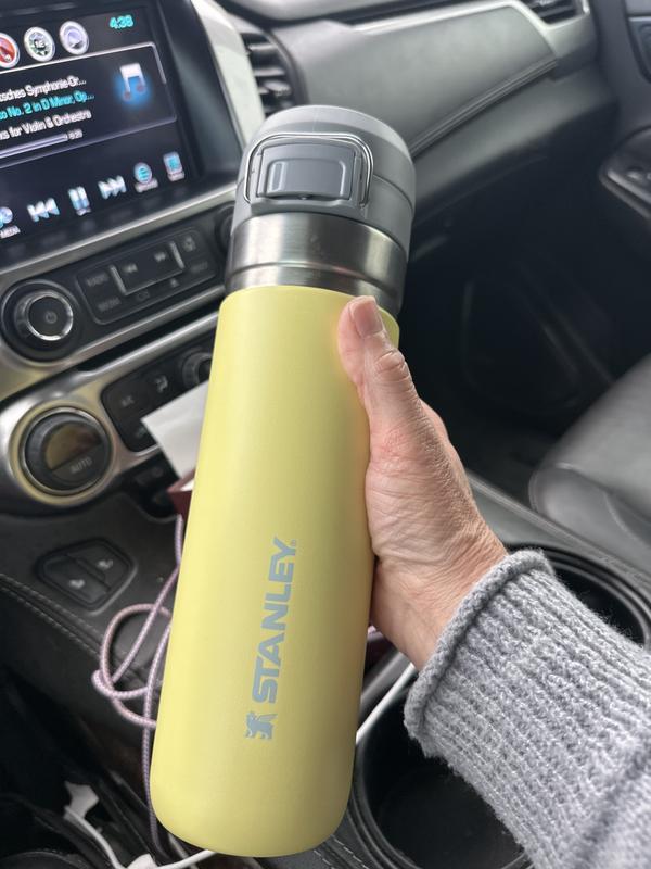 PEUTIER 2 Pezzi Tappo di Fuoriuscita per Stanley Quick Filp Go 24oz 36oz, Ricambio Tappo Bottiglia Acqua Parti Senza BPA Tappo Bocca Bottiglia Guarnizione Tappo in Silicone Accessori (Grigio