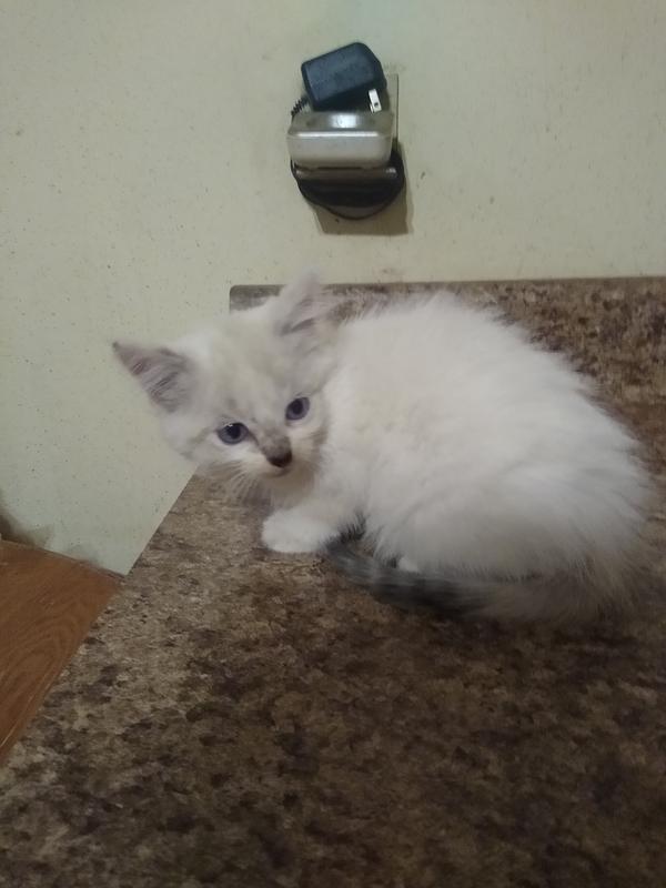 She's waiting for her dinner!
