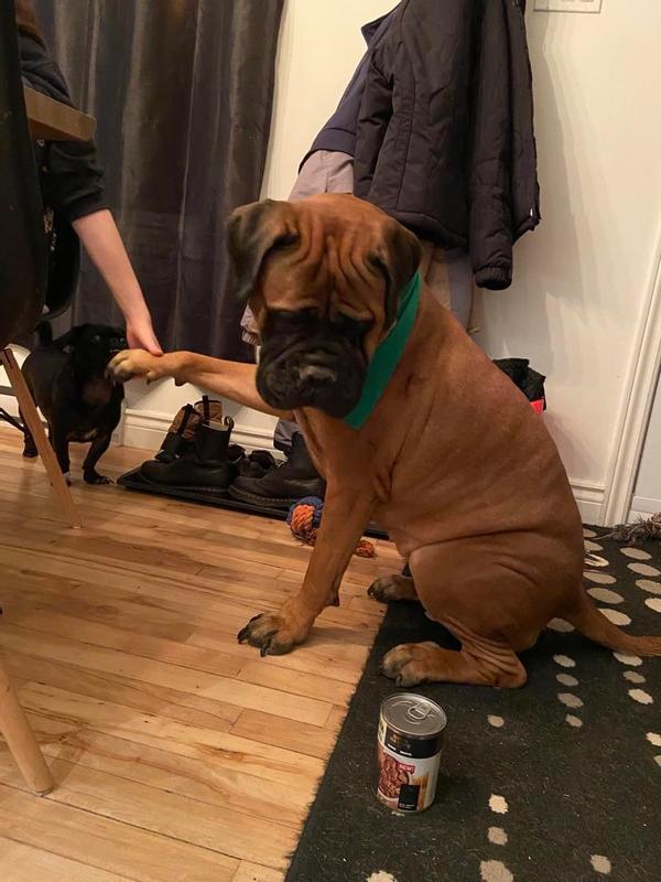 Gucci asking to eat it