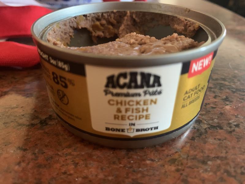 Acana wet cat food best sale