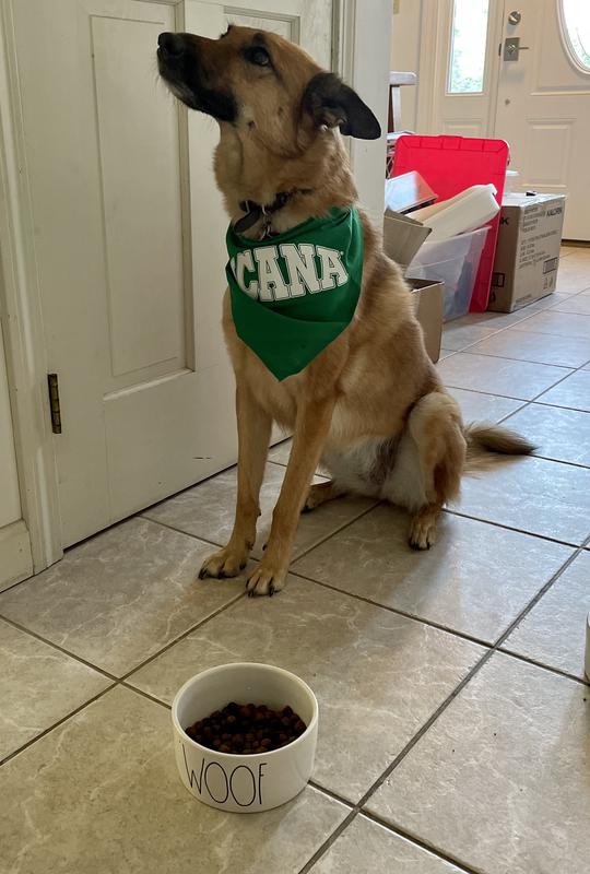 Can I eat it now?!