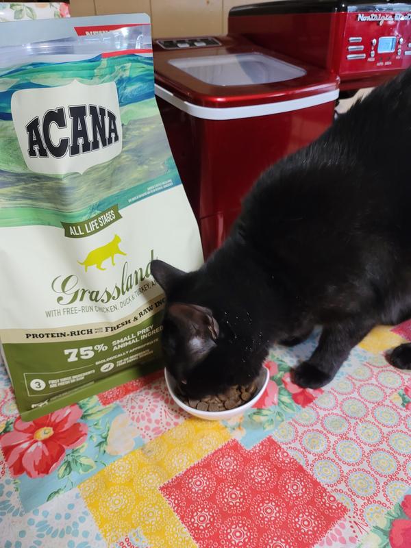 Acana cat 2024 food grasslands