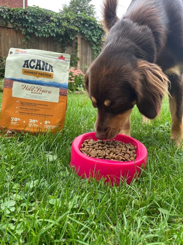 Acana wild clearance prairie dog food