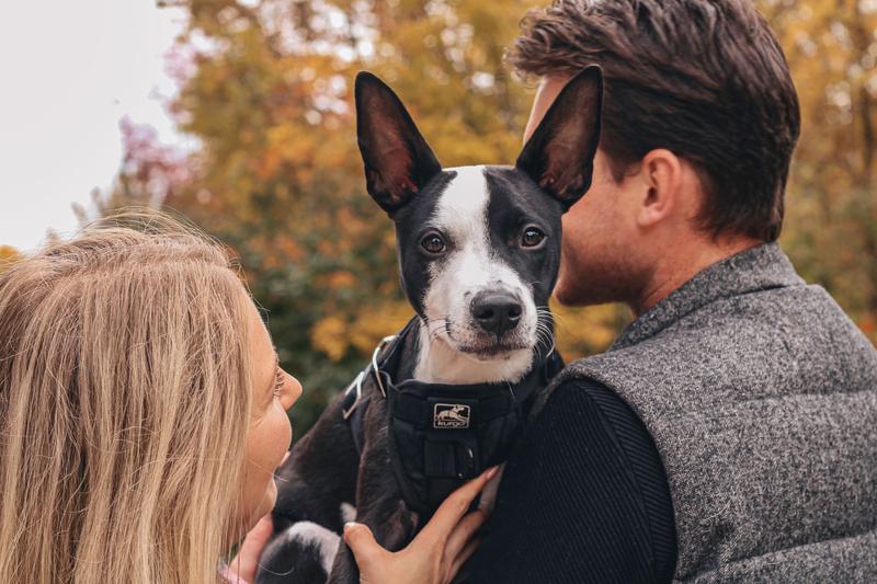Adult Dog Recipe - Grain-Free Dog Food | ACANA Canada