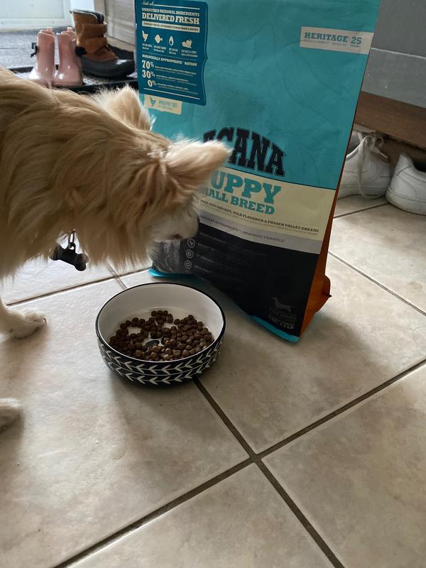 Acana dog food puppy small breed sale