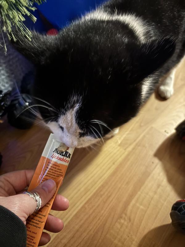 Rex trying the product