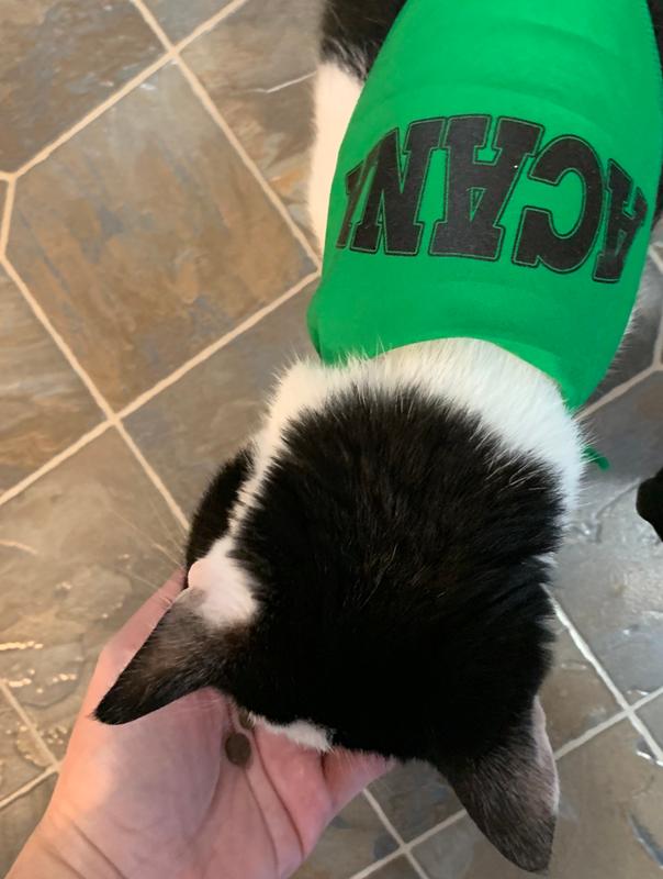 Cupcake and his Acana swag!