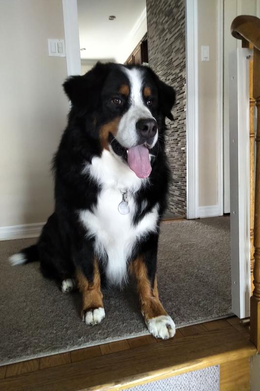 I think I ate too much, had a bath and now look amazing!