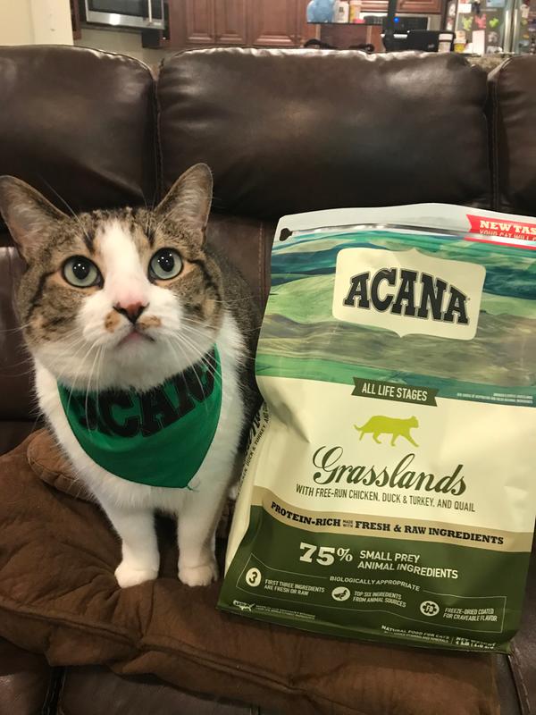 Venandi Animal Premium Dry Food for Cats, Tasting Pack 1, 6 x 0.3