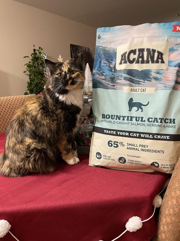 Bountiful Catch | ACANA™ Canada