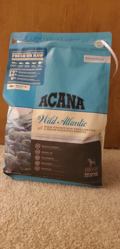 Acana wild atlantic outlet 25lb