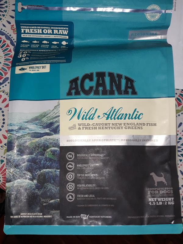 Wild atlantic dog outlet food