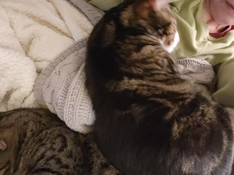 Post-lickables nap