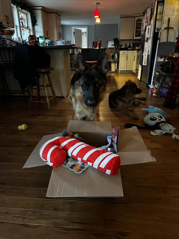 Review photo