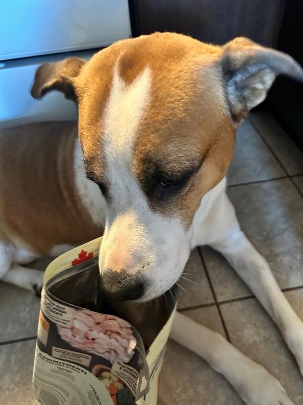 Highest Protein Wild Prairie® Dry Dog Food ACANA® Canada