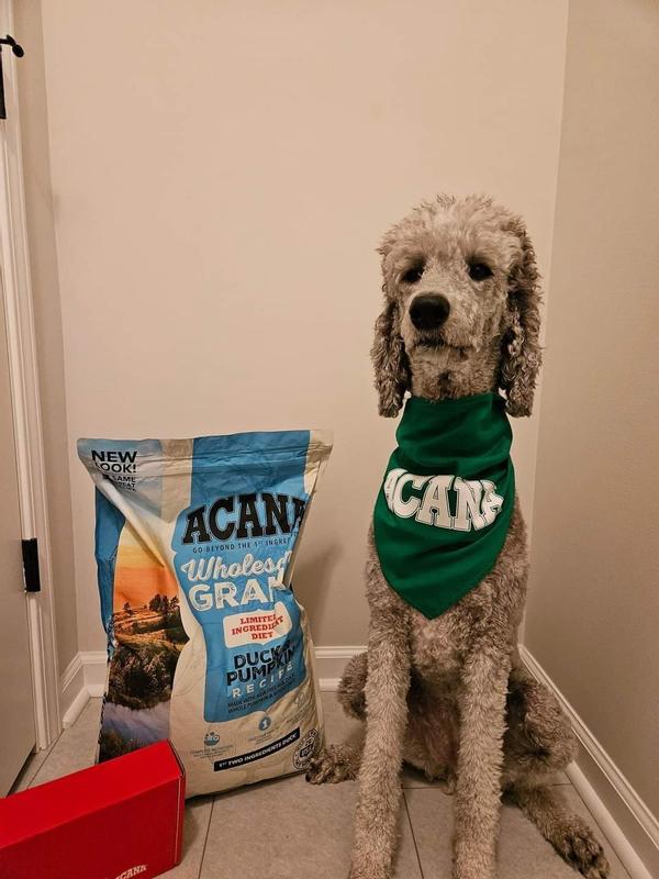 Acana Fan!