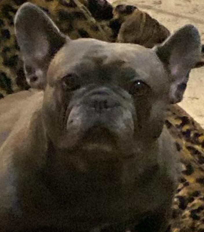 Karma loves her food!