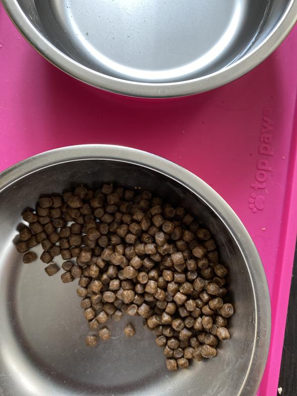 Acana puppy outlet food small breed