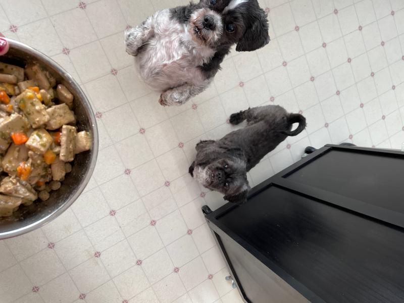 Oh interest very piqued