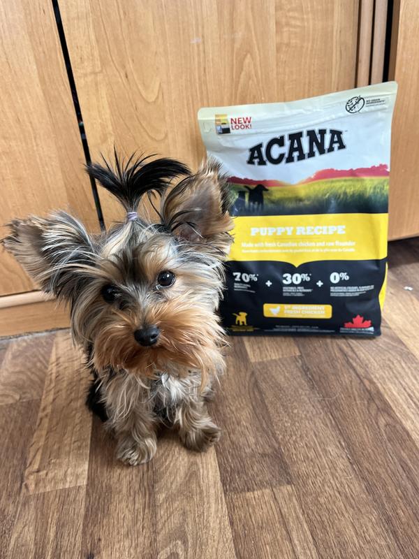 Acana dog outlet food for puppies