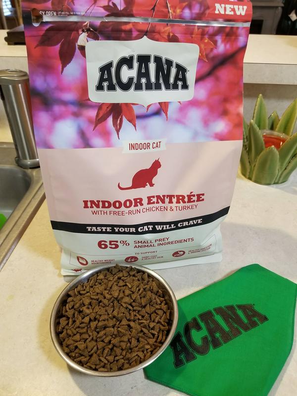 ACANA Indoor Entree Cat Food ACANA USA