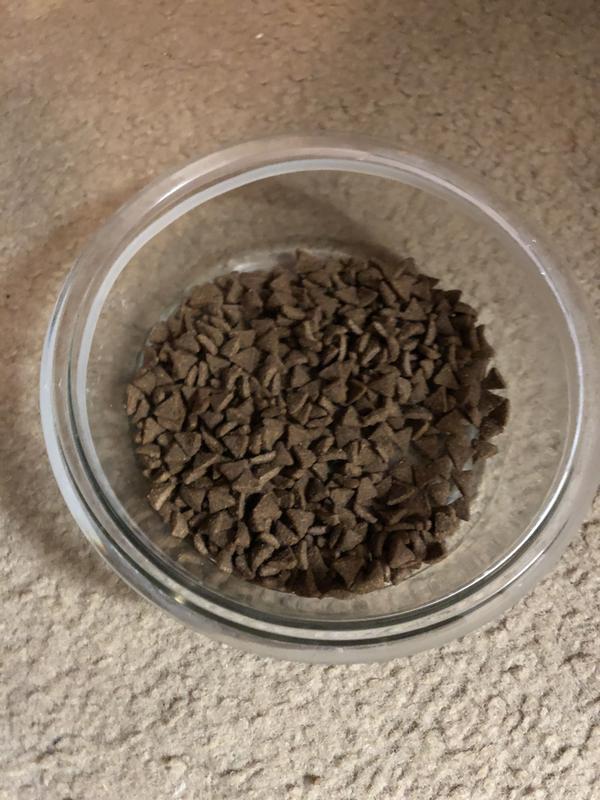 ACANA Indoor Entree Dry Cat Food