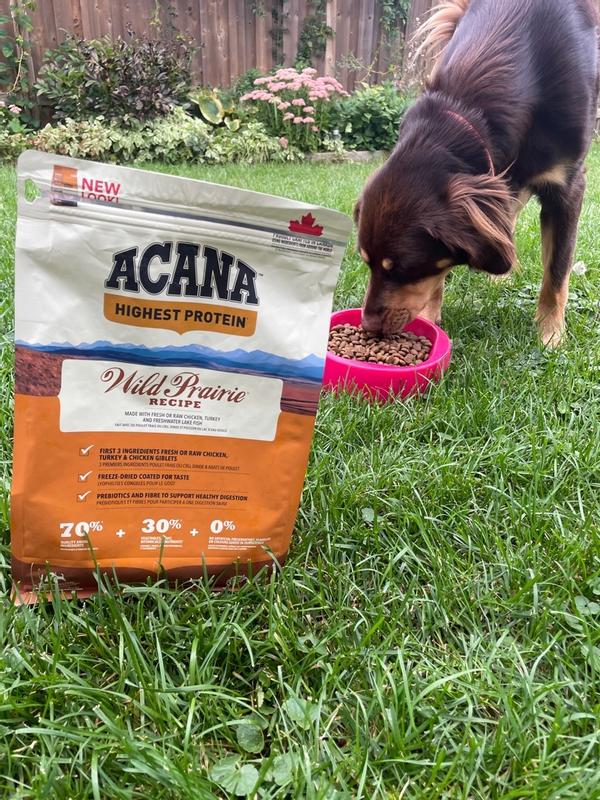 Highest Protein, Wild Prairie™ | Award-Winning Dog Food & Cat Food