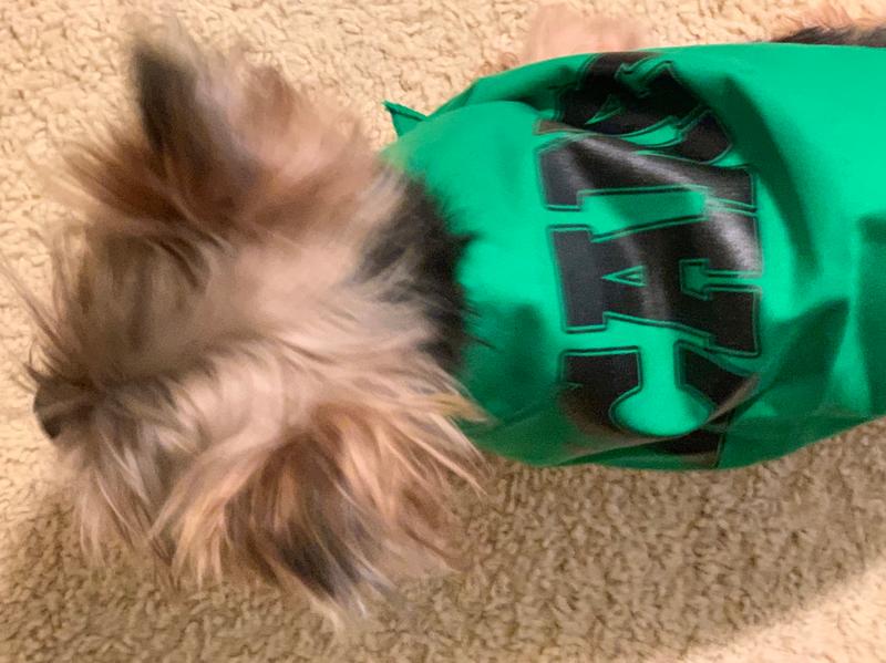 Bandana turned into a cape for my little guy