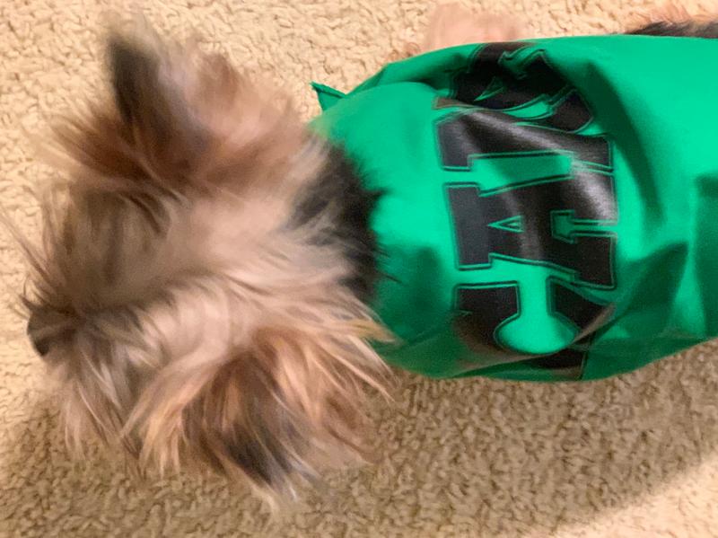 Green Bay Packers Cheerleader Dog Dress - Pet Costume Center