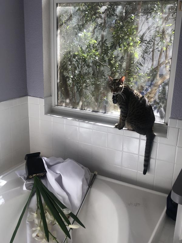 Someone got in trouble!