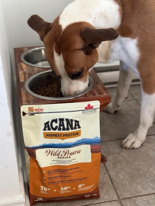 Acana wild prairie dog food sale