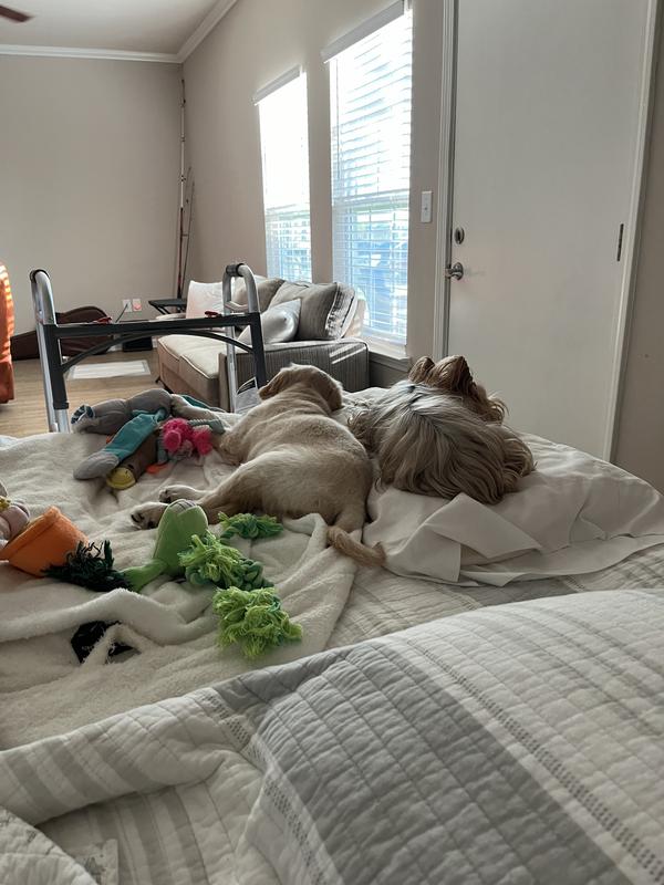 Her new bed and place