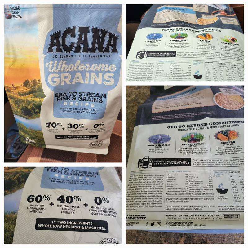 ACANA Wholesome Grains Sea to Stream Fish & Grains Recipe Dry Dog