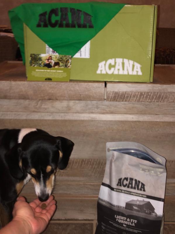 how many calories are in a cup of acana dog food