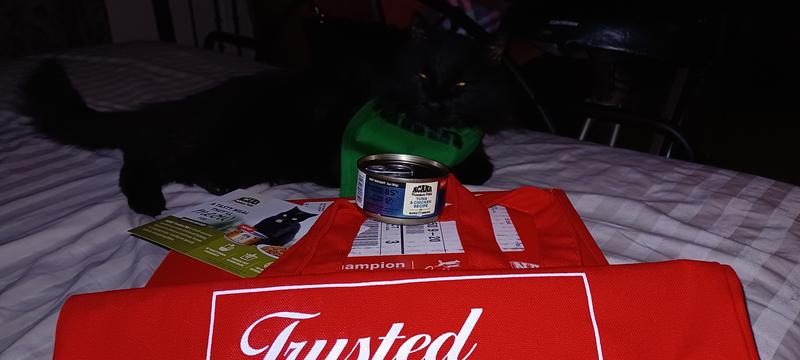 Happy kitty
