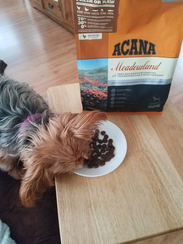 Acana meadowland outlet dog food 25lb