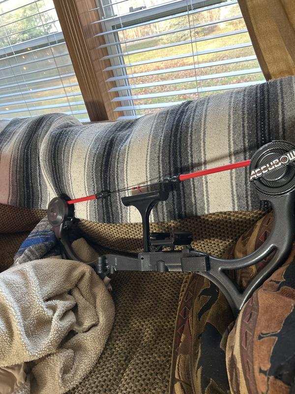 Photo - commentaire&nbsp;2.