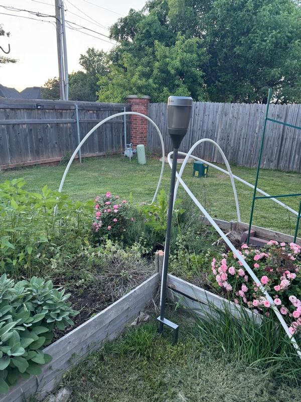 Photo submitted with review of product