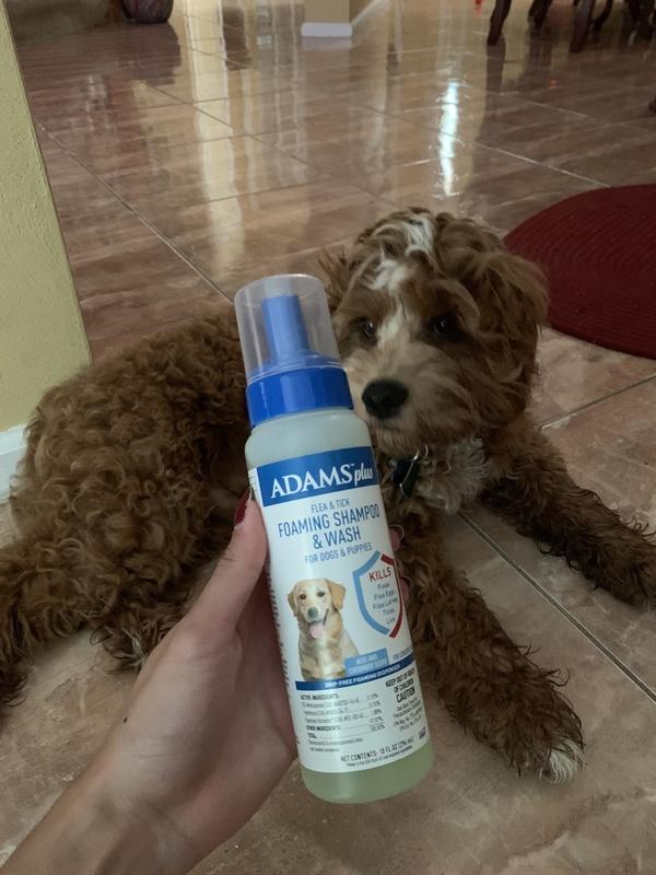 Adams flea and tick shampoo outlet reviews