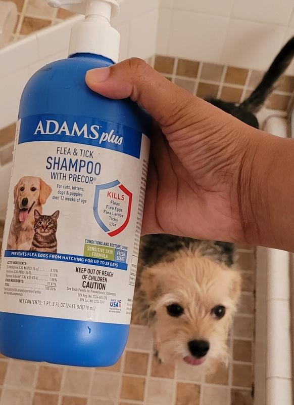 Adams flea and tick shampoo outlet for cats and kittens