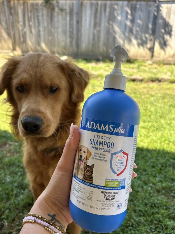 Adams plus flea outlet & tick shampoo