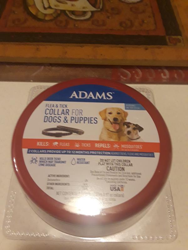 Are Adams Flea Collars Safe For Dogs