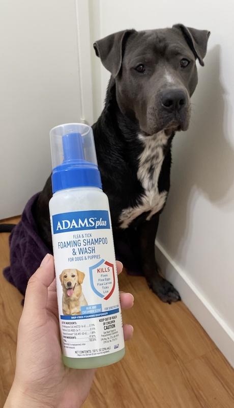 Adams flea and tick shampoo clearance walmart