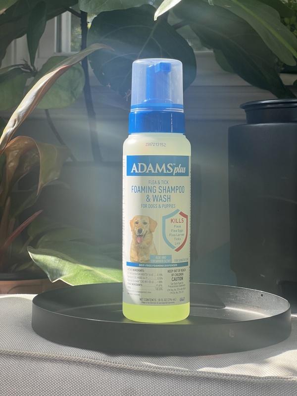 Adams flea and outlet tick shampoo walmart