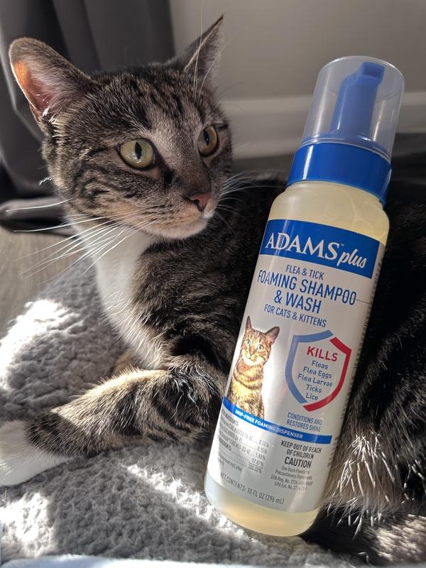 Adams flea and tick shampoo for cats sales