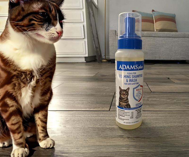 Adams flea 2024 shampoo for cats