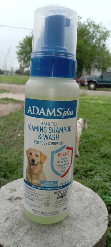 Adams flea shampoo clearance reviews