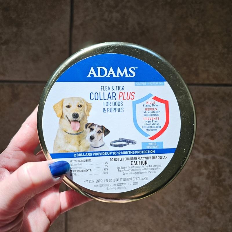 Adams flea and tick collar outlet for dogs and puppies